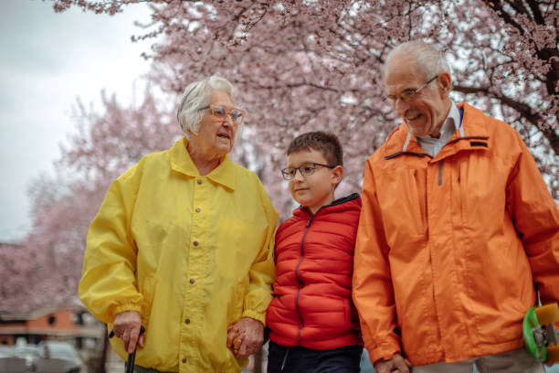 istock Old people walking in the spring with grandson 1389270417