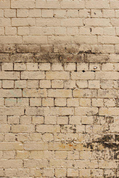 istock Part of a dirty old cream colored brick wall 1389270591