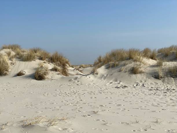 istock View from the hiking trail on Spiekeroog between two dunes 1389271525