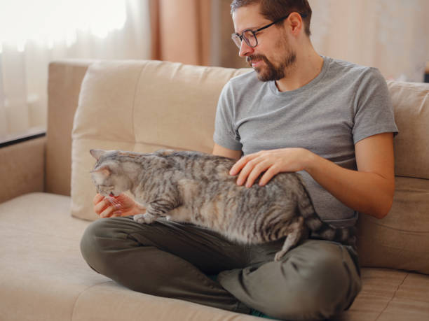 istock owner plays with cat while relaxing on sofa in living room. 1389274592