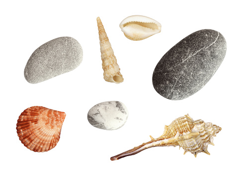 Set of different seashells and stones isolated on white