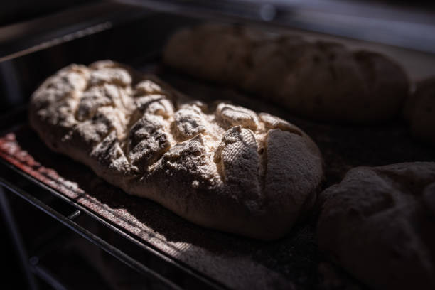 istock fragrant fresh clean bread ready for baking in the oven 1389276766
