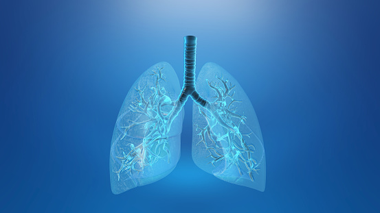 Antecedentes médicos del pulmón con asa de tráquea photo