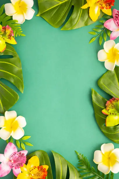 Photo of Summer background with tropical orchid flowers and green tropical palm leaves on green background. Flat lay, top view. Summer party backdrop