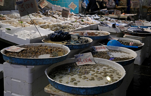 Fish and other seafood on ice on display at a fish market