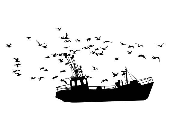Fishing ship isolated on white background. Fishing boat with many seagulls. Side view of commercial trawler. Industrial seafood production. Black fishing barge icon. Fishermen vessel surrounded with sea gulls in ocean. Stock vector illustration fish farm icon stock illustrations