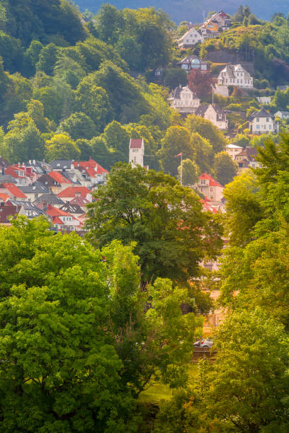 istock Bergen, Norway view with colorful houses 1389289549