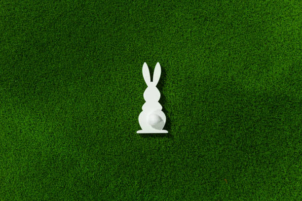 istock Concept of Easter holiday. One white bunny. 1389294379