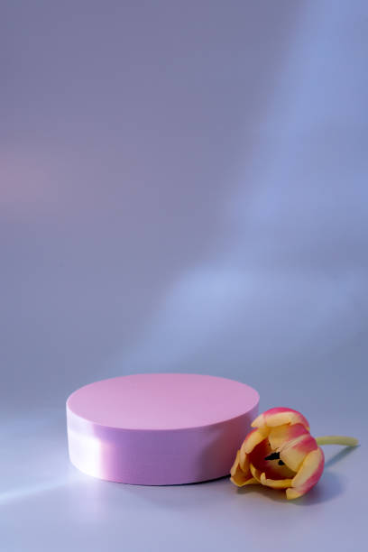 istock Abstract Minimal Scene Empty Stage with Pink Podium on Blue Background Red Tulip Flower Shadows Blue Toned Photo Pedestal for Cosmetic Product Mockups Vertical 1389296362