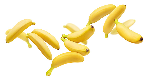 Flying baby bananas, isolated on white background