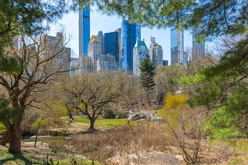 The Midtwon Manhattan skyline from the lake of Central Park