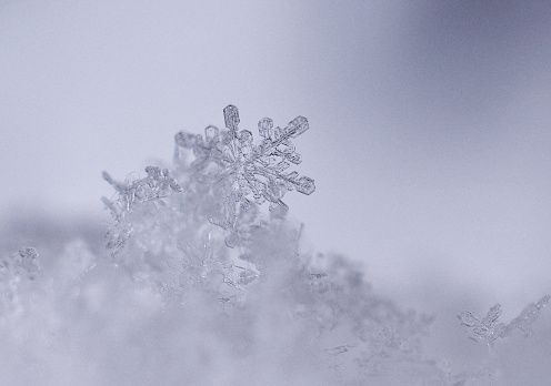 on little pile of snow