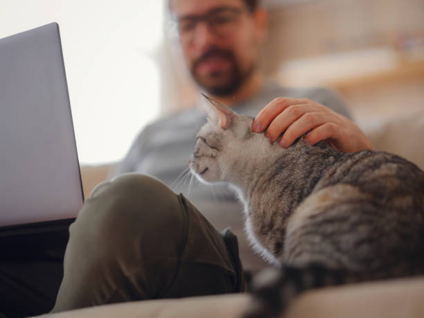 istock Working at home with pet. Man works from home typing on laptop. 1389304281