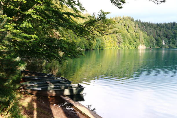 istock Pavin lake in the Sancy massif in Auvergne 1389304362