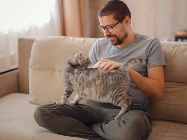 istock owner plays with cat while relaxing on sofa in living room. 1389304398