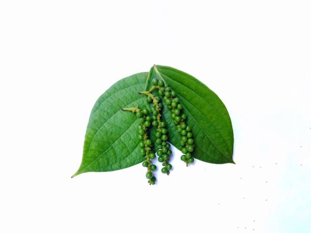 istock Fresh Peppercorn Berries isolated on white background 1389305127