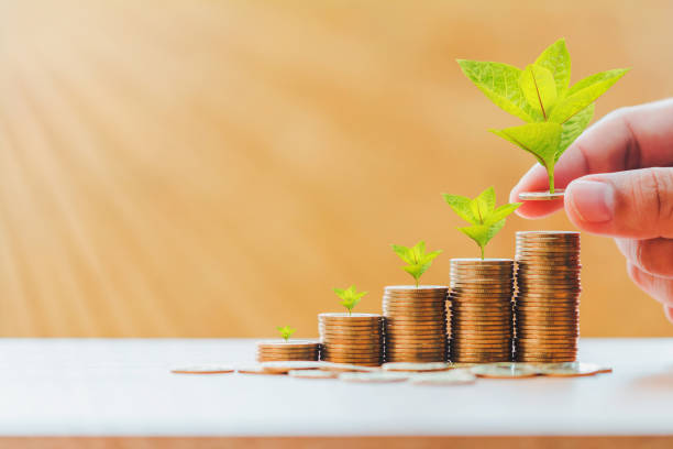 Investor hold coin with plant growing on the top and stack with savings money put in the office, Turnover of business investment and saving growth concept. Investor hold coin with plant growing on the top and stack with savings money put in the office, Turnover of business investment and saving growth concept. colour enhanced stock pictures, royalty-free photos & images