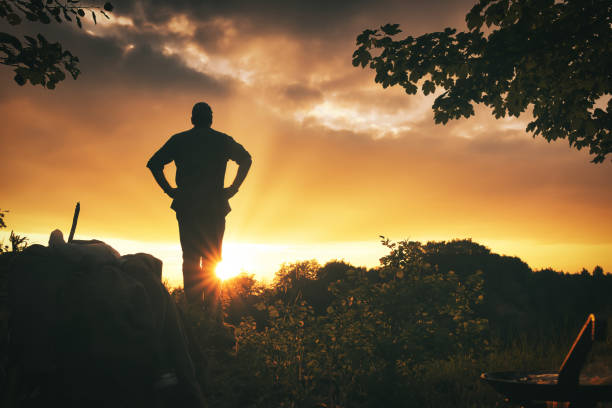 Silhouette of human looking at sunset in the forrest