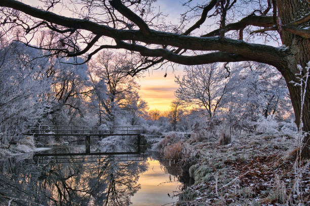 istock small river sunset in winter, with an oak in the foreground 1389308766