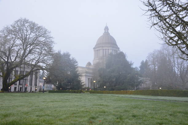 霧の朝に国会議事堂の建物に対して露が芝生を覆った - washington state capitol building ストックフォトと画像