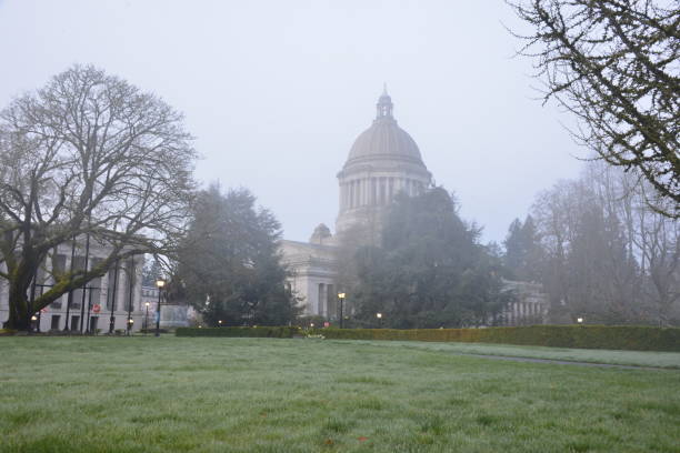 안개가 자욱한 아침에 국회 의사당 건물에 대한 이슬 덮인 잔디밭 - washington state capitol building 뉴스 사진 이미지