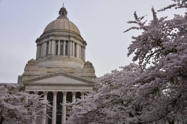 istock Cherry Blossoms Against Architectural Dome And Soft Morning Sky 1389311540