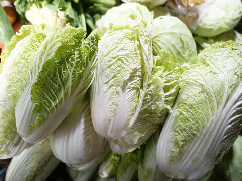 Napa Cabbage or Chinese Cabbage is white on the bone and the leaves have many wrinkles. It is a fresh leaf vegetable which contains many nutrients and vitamins.