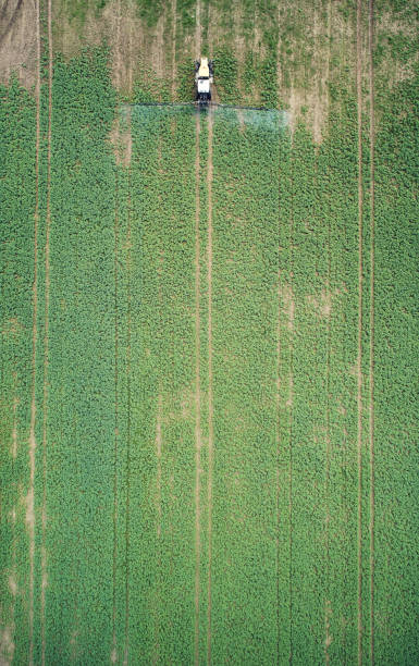 istock Treating green agriculture field 1389317449