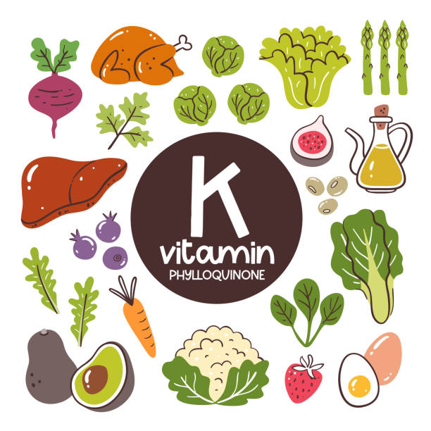 ilustrações de stock, clip art, desenhos animados e ícones de vitamin k food ingredients. phylloquinone - food supplement illustrations