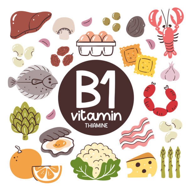 witamina b1 składniki żywności. tiaminy - vitamin b1 stock illustrations