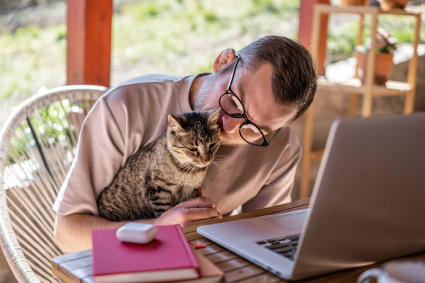 istock Young attractive man in glasses freelancer with a gray cat in his hands working at home using a laptop on the terrace of a country house 1389319308