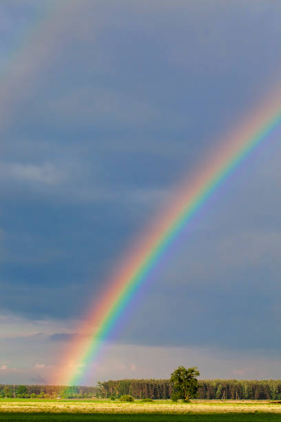 istock beautiful double rainbow in cloudy sky 1389319713