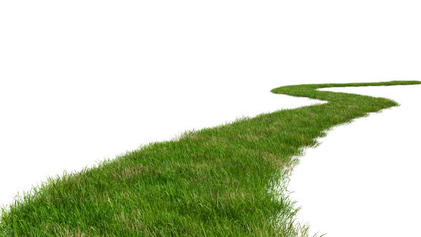 istock Path way with grass on white background with copy space Isolated on white - 3D-Illustration 1389320767