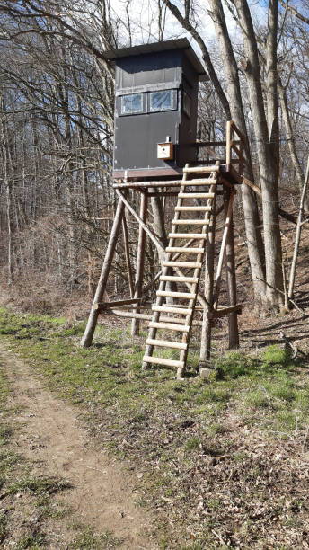 This hunting seat has its own birdhouse.