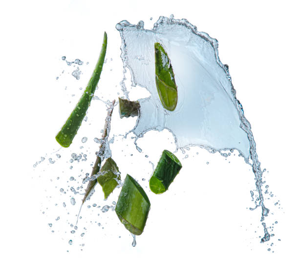 istock Aloe vera slices with water splash on white background 1389323241