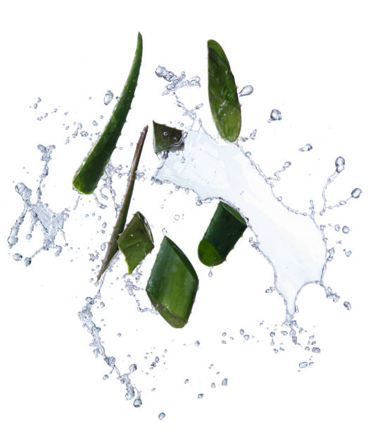 istock Aloe vera slices with water splash on white background 1389323243