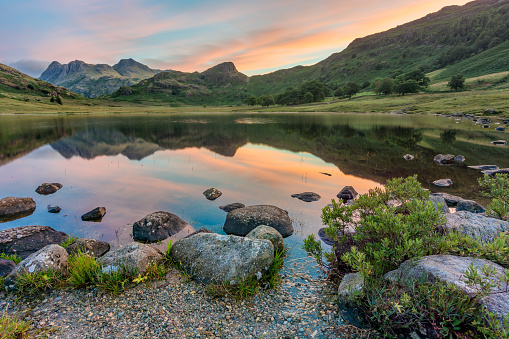 Summer sunrise with beautiful vibrant high clouds being illuminated from the rising sun. Looking over to The Langdale Pikes from Blea Tarn in the Lake District, UK.