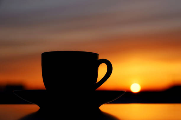 istock Silhouette of coffee or tea cup on background of sunset sky and setting sun 1389329721