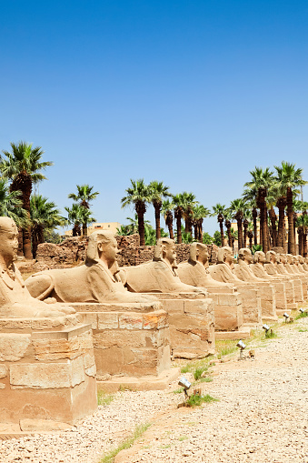 Avenue of Sphinxes at Luxor Temple in Luxor, Egypt.