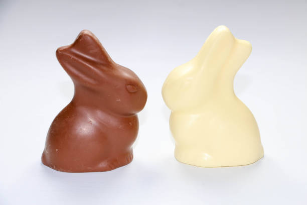 close up of brown and white chocolate bunny sit opposite each other on a white background stock photo