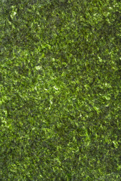 istock Close-up of nori leaf texture for background, top view. Appetizer made from kelp. 1389336103