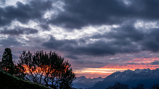 Sunrise over the mountains. Dramatic sky with green tree in summer. Lausanne, Switzerland.