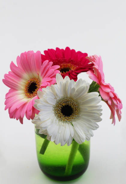 istock Colorful gerbera daisies in green transparent glass with copy space 1389339941
