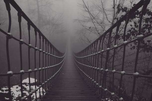 vue d’un pont suspendu dans le brouillard - hofmann photos et images de collection