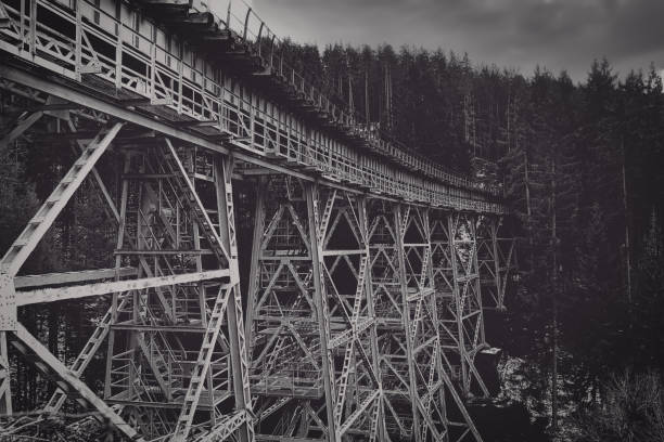 rusty old iron railway bridge over a forrest valley - hofmann imagens e fotografias de stock