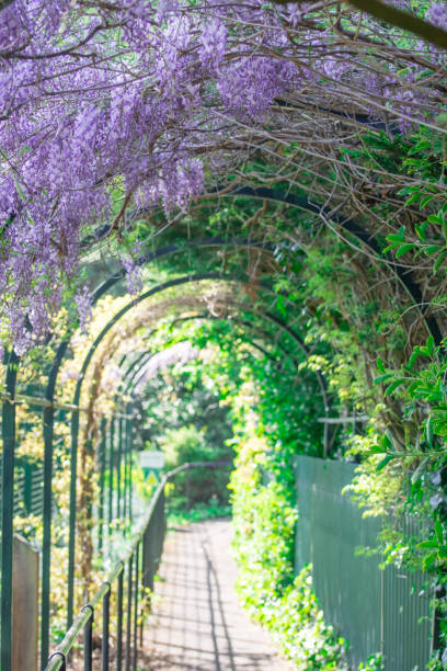 istock beautiful spring natural flowers background 1389345139