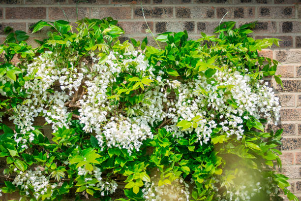 istock beautiful spring flowers on natural background 1389345282