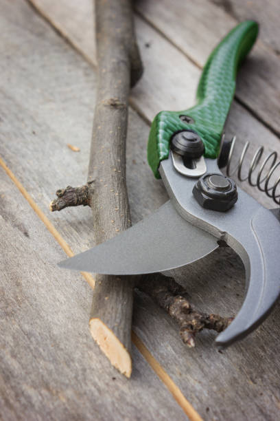 istock Garden pruner with plastic handles on a wooden table. Graftage 1389346212