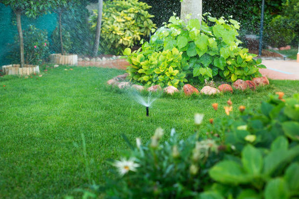 Automatic sprinkler watering in the garden