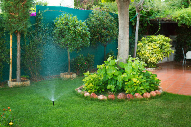 istock Automatic sprinkler watering in the garden 1389347276